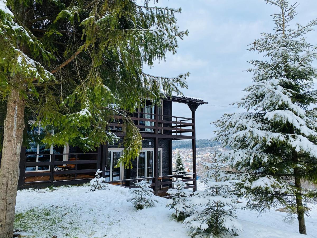 Парк-Готель Щастя Skhidnytsia Exterior photo