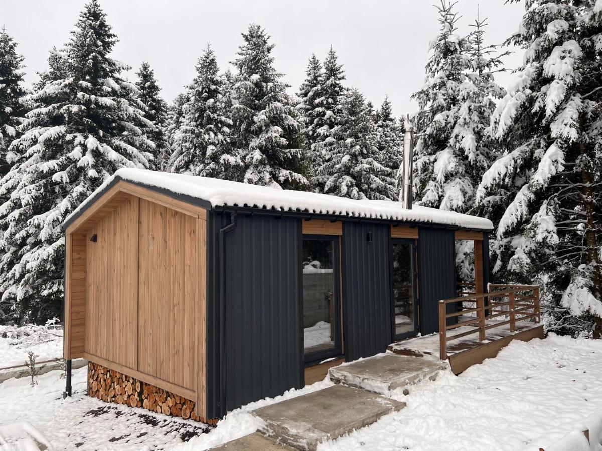 Парк-Готель Щастя Skhidnytsia Exterior photo